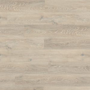 Colorado oak
